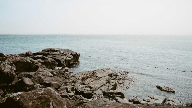 What Does A 99Exch Legal Review Say About Authenticity?